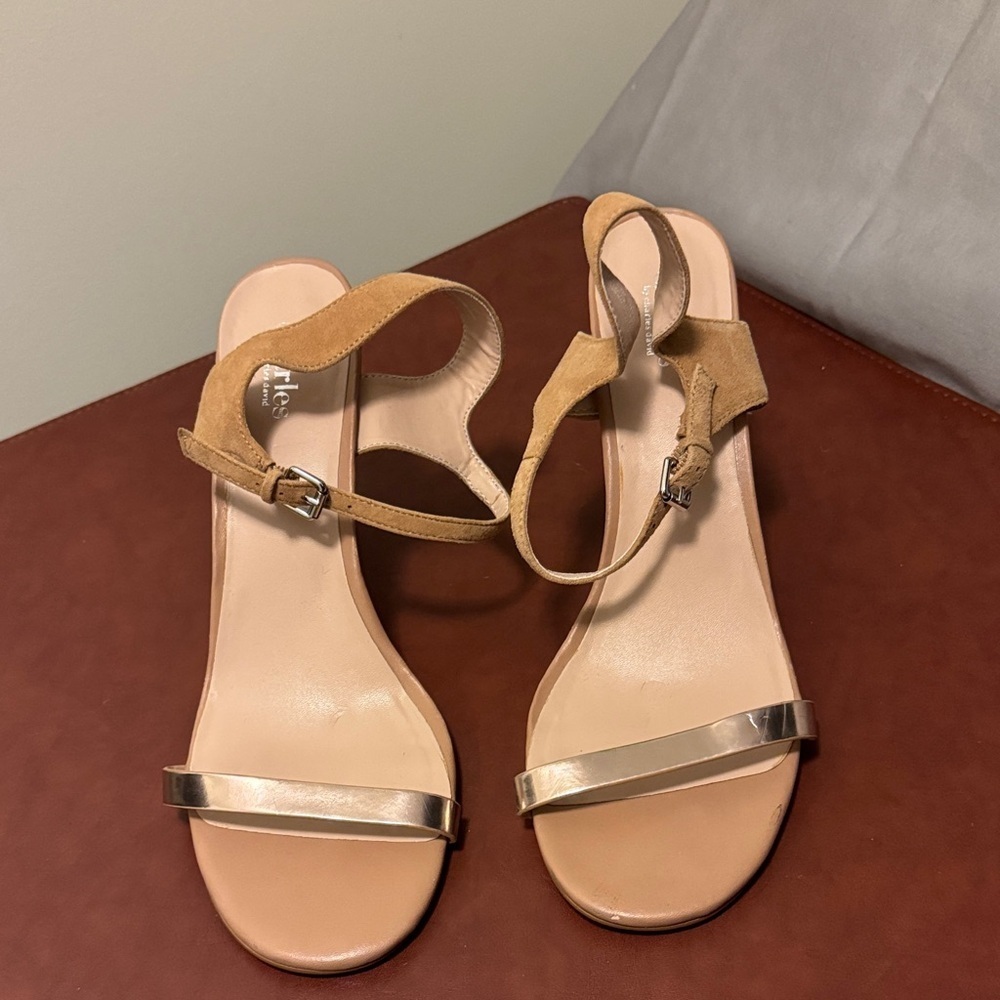 Charles David Suede and Metallic Sandals